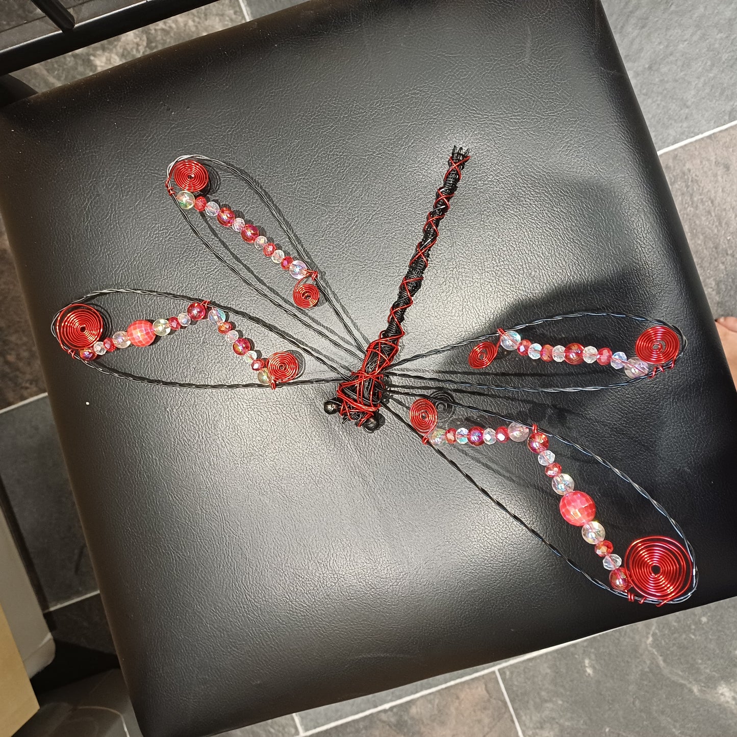 Dragonfly Red and black