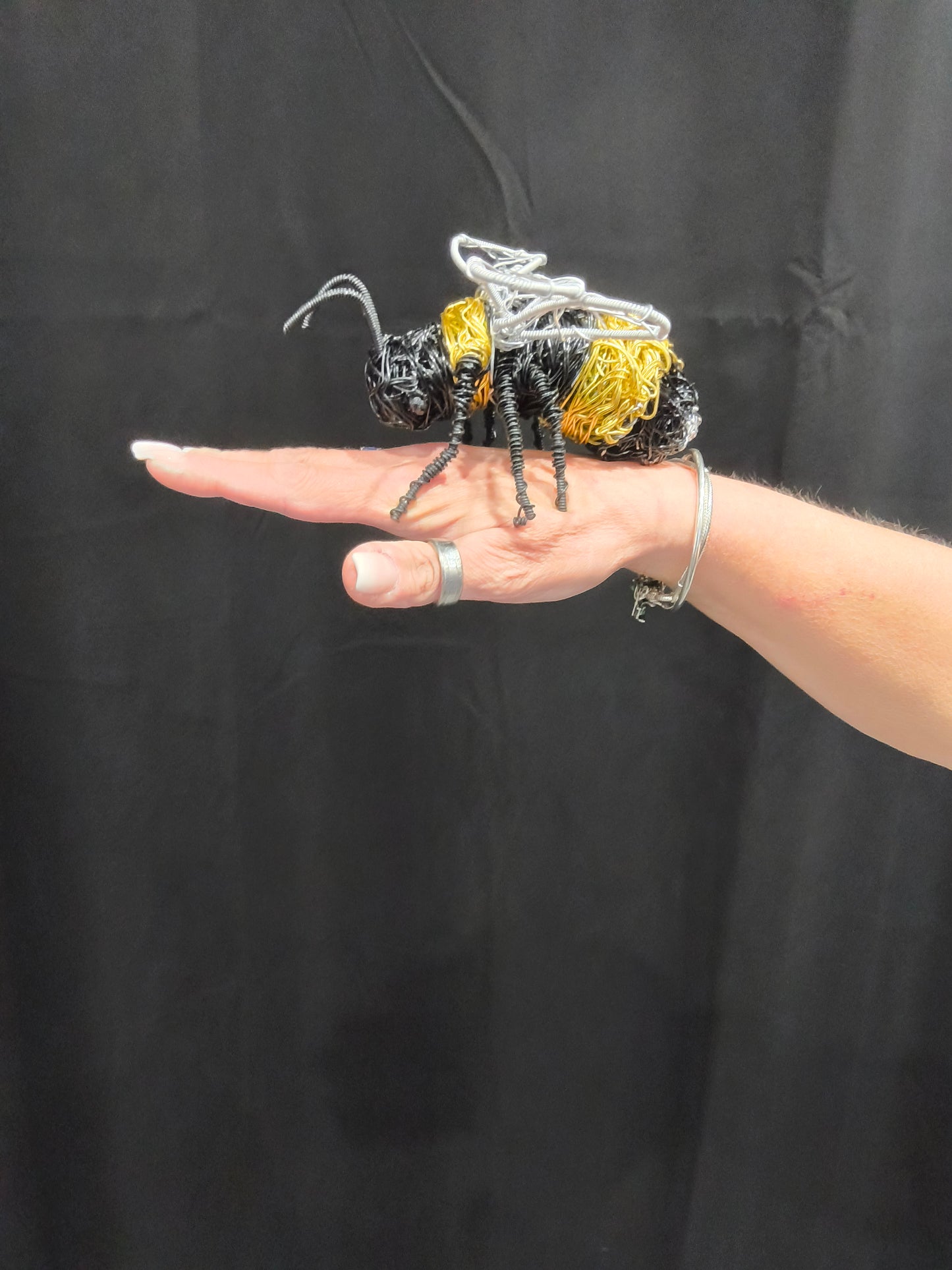 Bumblebee the bee